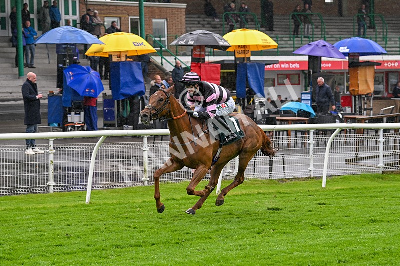 230524-Race 6-Cori Glory-1939 - Race 6