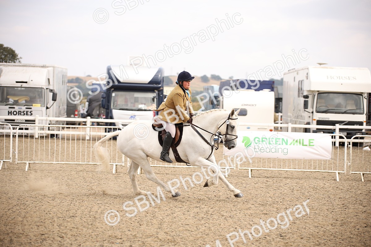 SBM_16142 - Class 409a - Working Veteran 80cm (15-19)