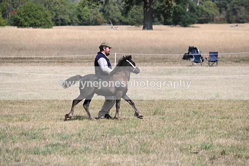 WJ6_5122 - Class 17 Mountain & Moorland