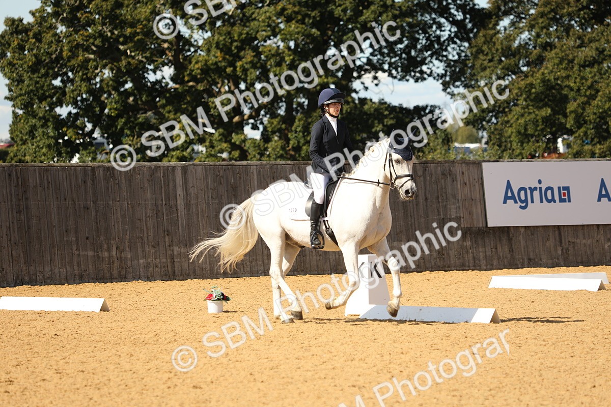 SBM_22351 - D17 - Grand Tour Championship - Novice 27