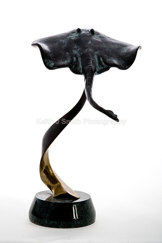 YR6M4321 - Studio Still Life