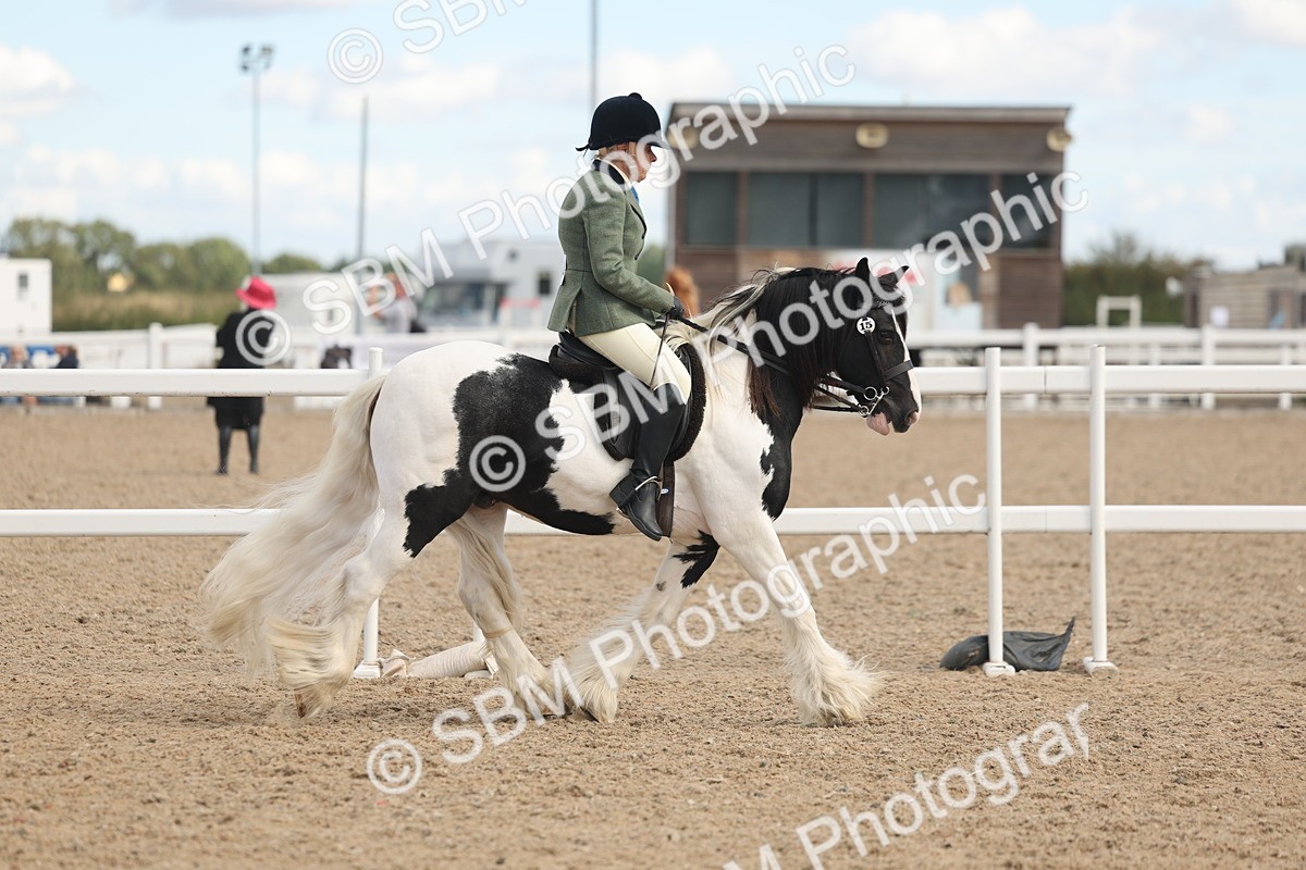 SBM_14642 - Class 307 - Ridden Coloured Pony