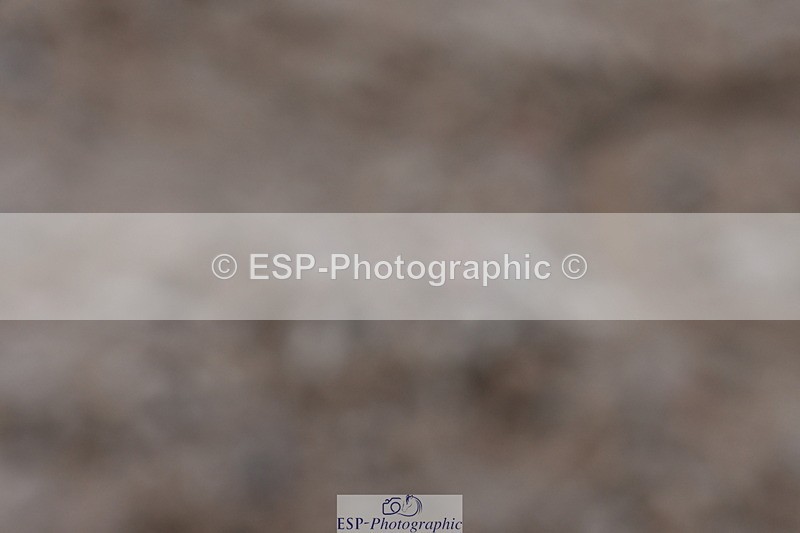 240107A-124620-01645 - UnAff Prelim 14