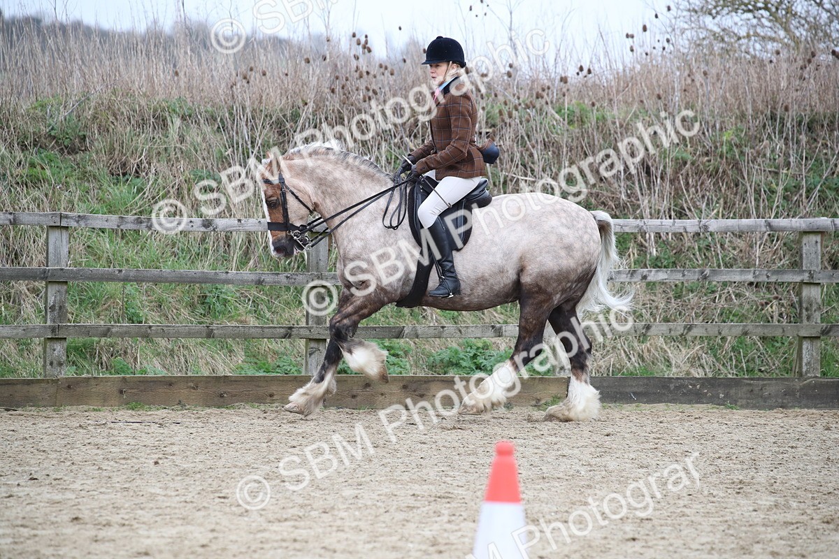 SBM_007249 - Class 10-13 - RIHS Small Large Breeds
