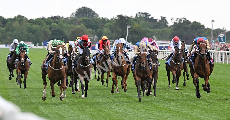220826-134 Daiquiri Bay - Race 4 15.35pm Sky Bet Ebor Handicap