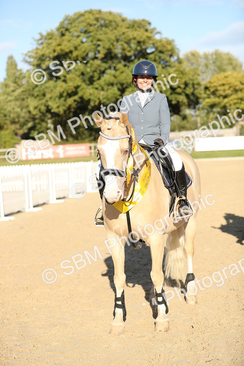 SBM_11495 - J37 - Veteran Rider 75cm