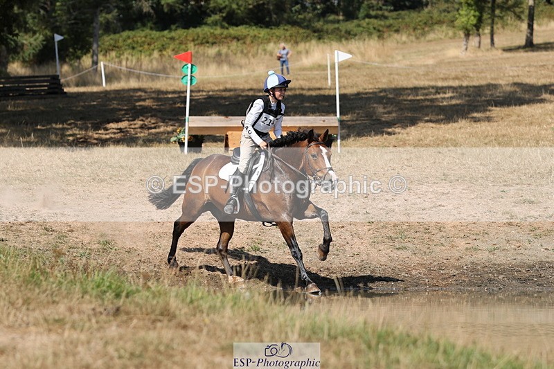 250824A-145317-39137 - 2147-George.Walford-meadow.sweet.conker