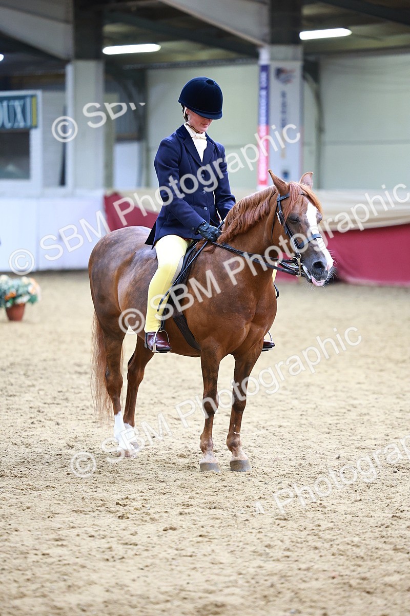 SBM_23311 - Class 904 - Supreme Final - Ridden Diamond