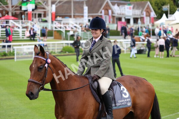 yr22052022r8e-119 - ROR - Parade Ring York