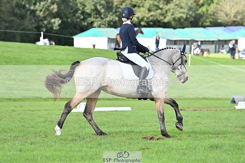 231020-141810-10875 - 664-TEMPLEMORE.WILD.ONE-Bella.Stevens-DR