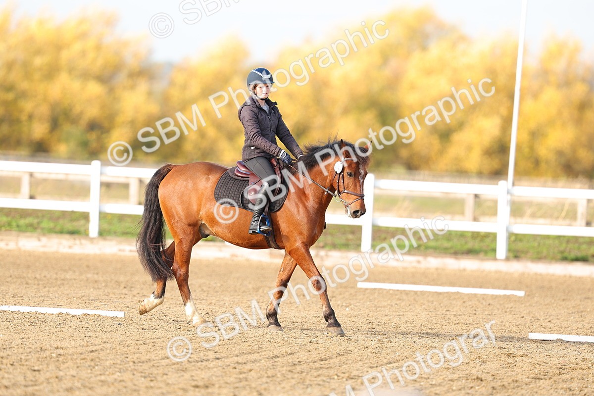 SBM_001208 - Class 13-4-9 - DR P3 CT P3 70cm CT PYO