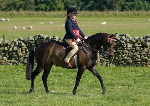 156 - Moniaive Horse Show 2008