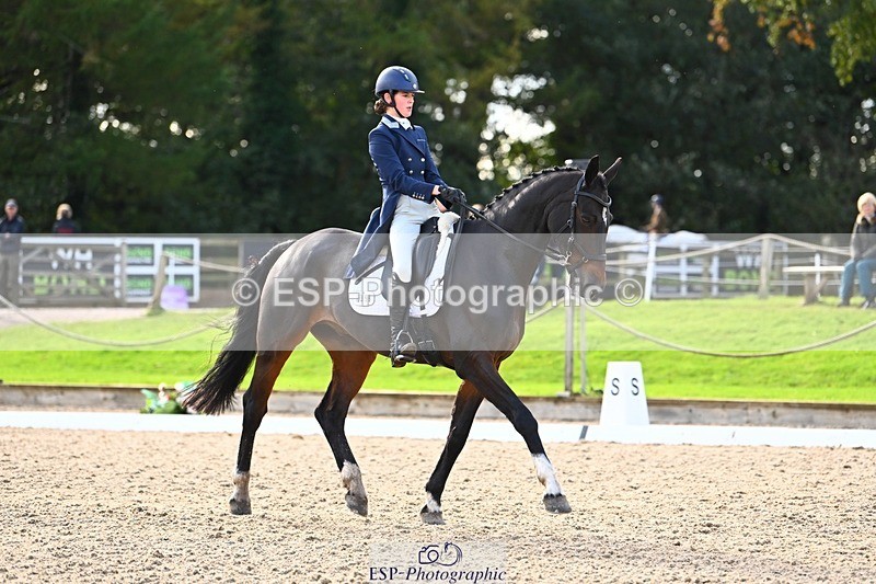 231021-143109-17849 - 358-ROYALE.MESSENGER-Anna.Singer-DR