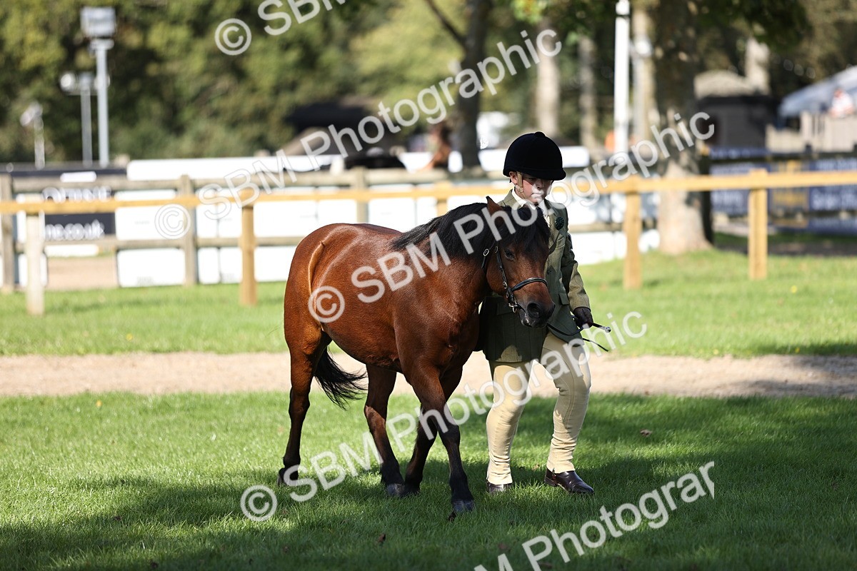 SBM_26209 - S5 - Novice & Newcomers In Hand