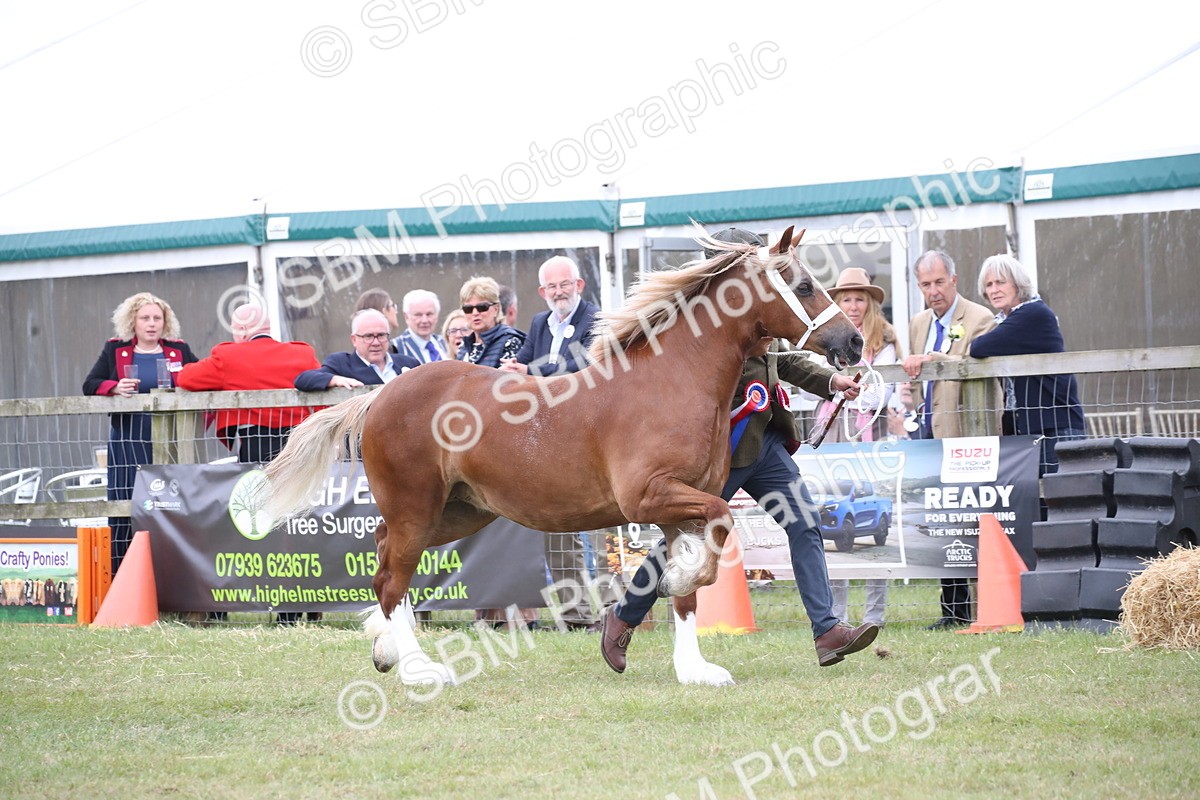 SBM_09758 - Ch 50 - Price Family Supreme In Hand