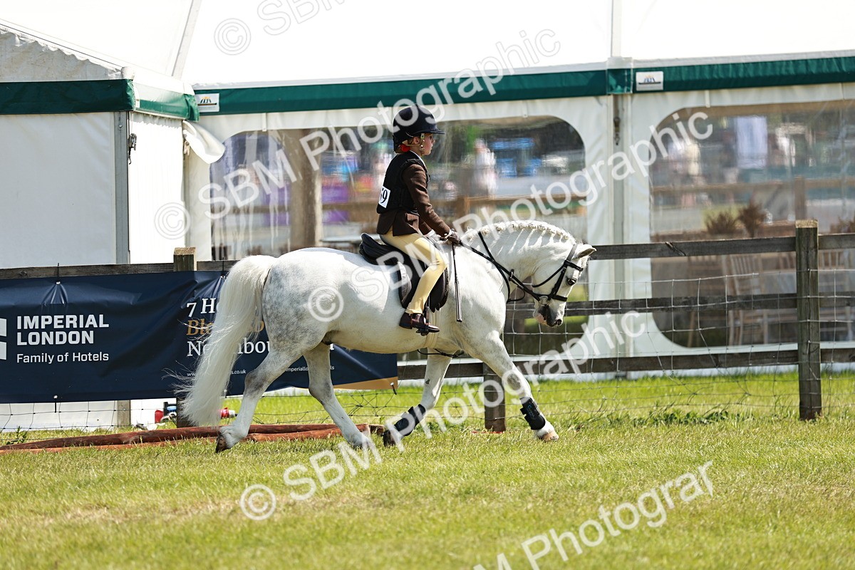 SBM_13545 - Class 108-109 - BSPS LIHS Open Gradle & Nursery Stakes