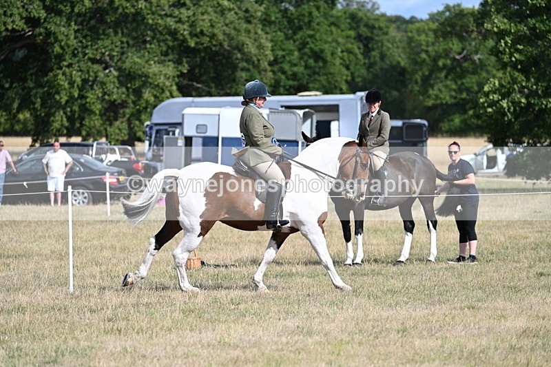 WJ7_7451 - Class 14 Ridden Coloured