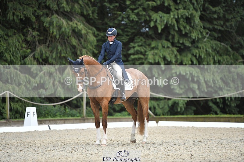 230525-152151-03235 - 308-NEFFECT_S-Kat_Raybould-WEDTrotUp+DR