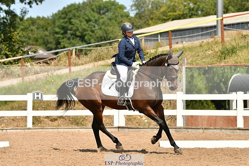 250817-133934-10023 - 033-Frankie.TorodeFirst.Impression.VI