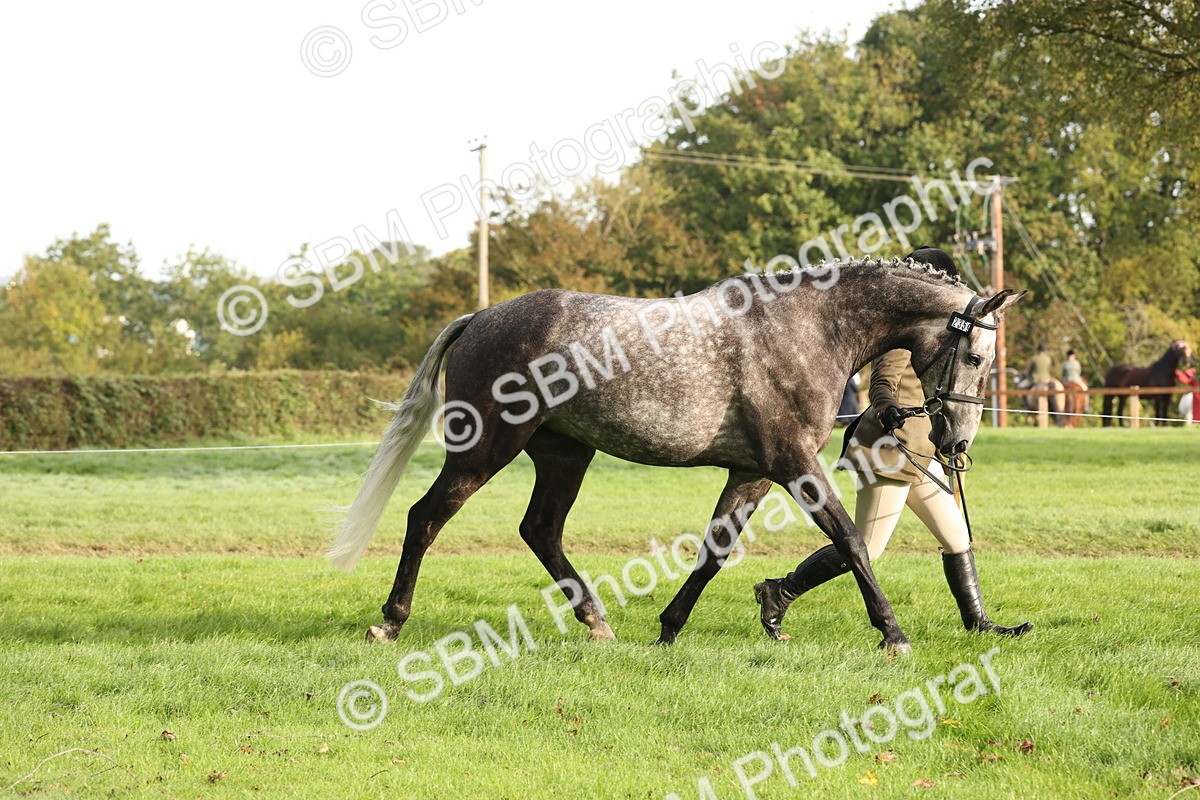 SBM_54670 - S53 - Hunter In Hand
