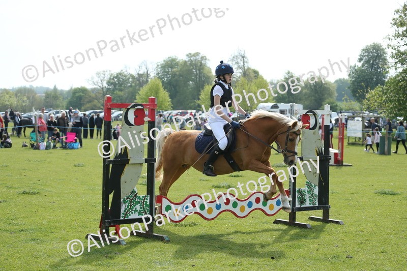 20260426-1617 - Class 14 - Novice 60cm