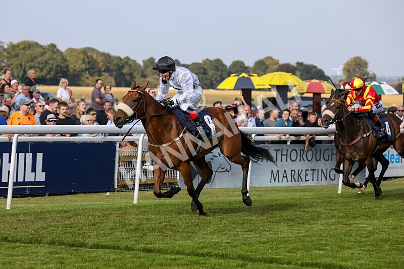 310824-Race 7-Zapphire-2146 - Race 7