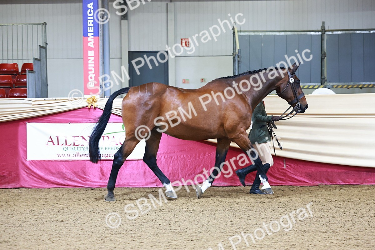 SBM_21647 - Class 901 - Supreme Final - IH  Diamond