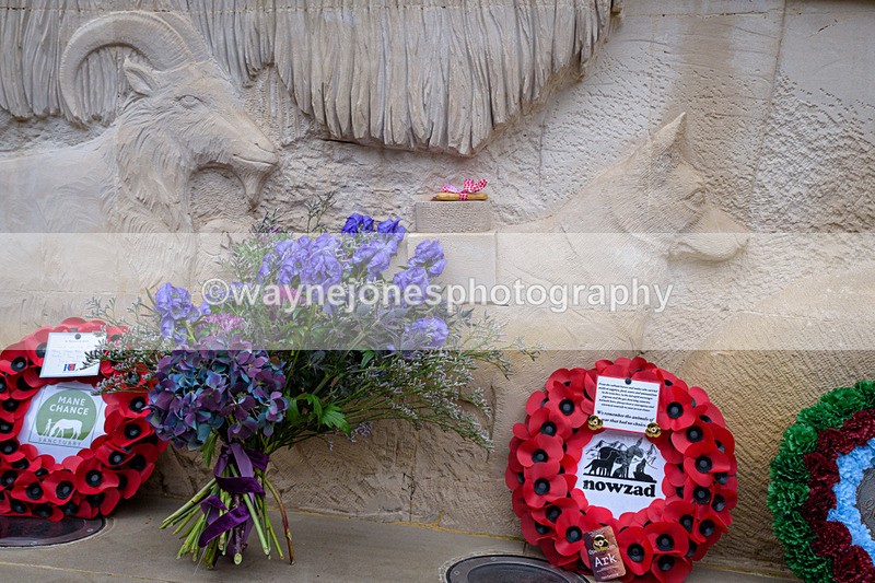 NGP_8334 - 2024 Animals in War Remembrance Gathering