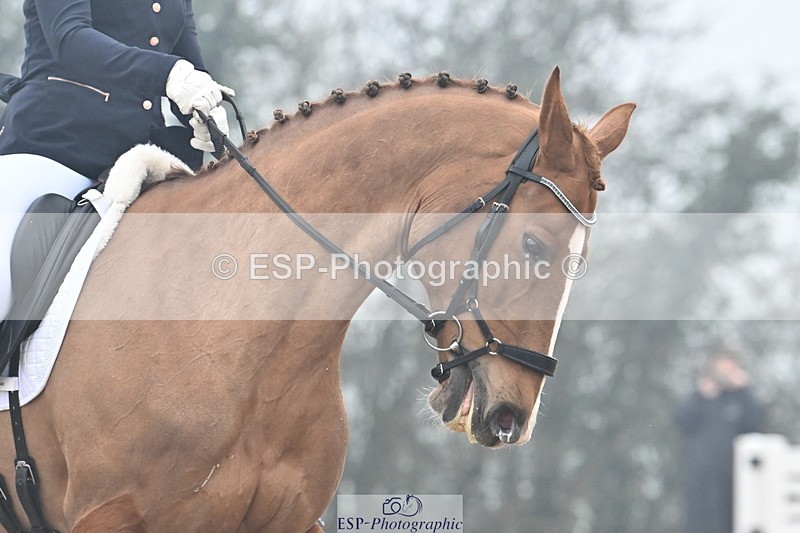 240217A-120529-02103 - 233-Samantha.Brown-Demelzas.Dream