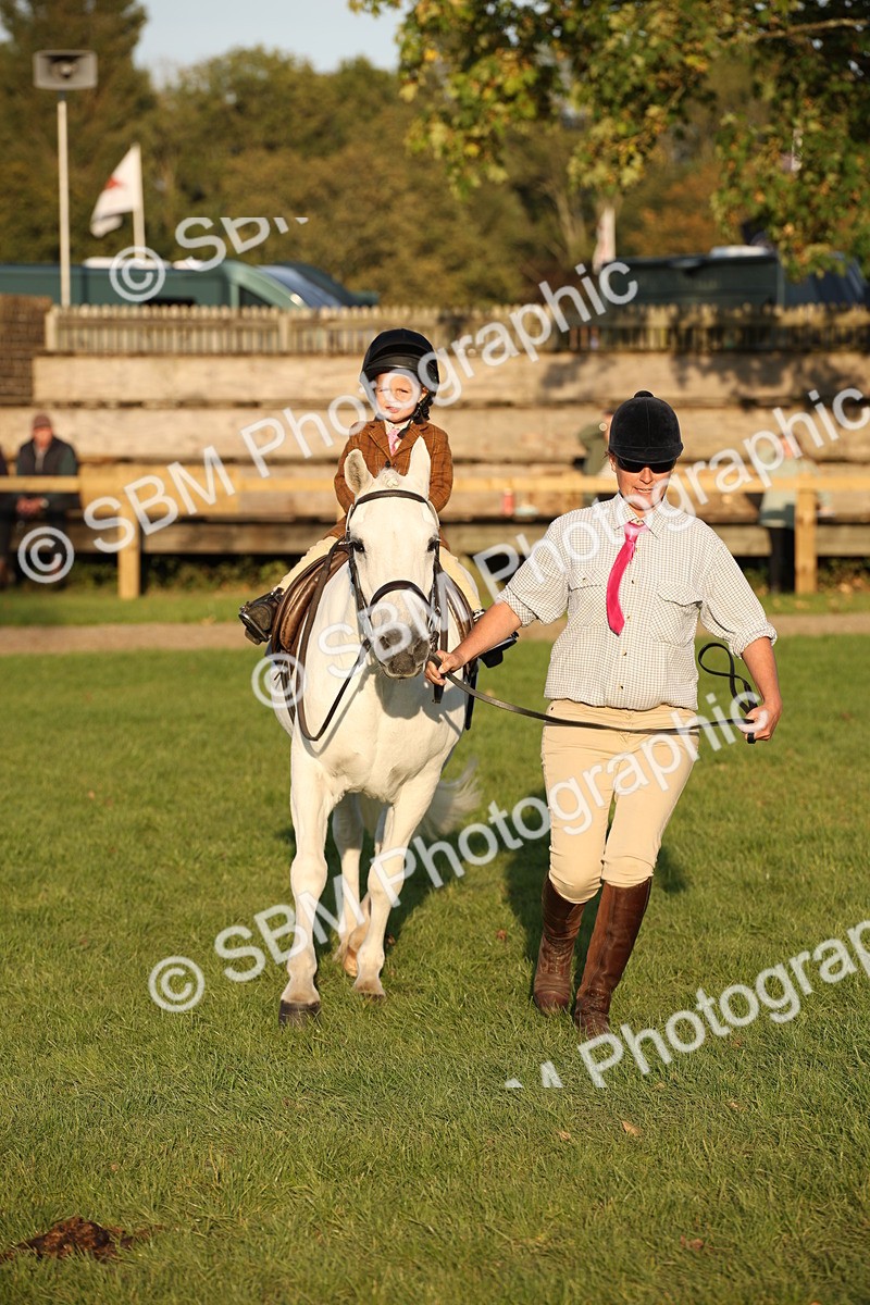 SBM_54463 - S27 - Mature Veteran - Ridden