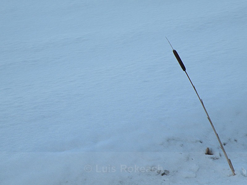  - Winter