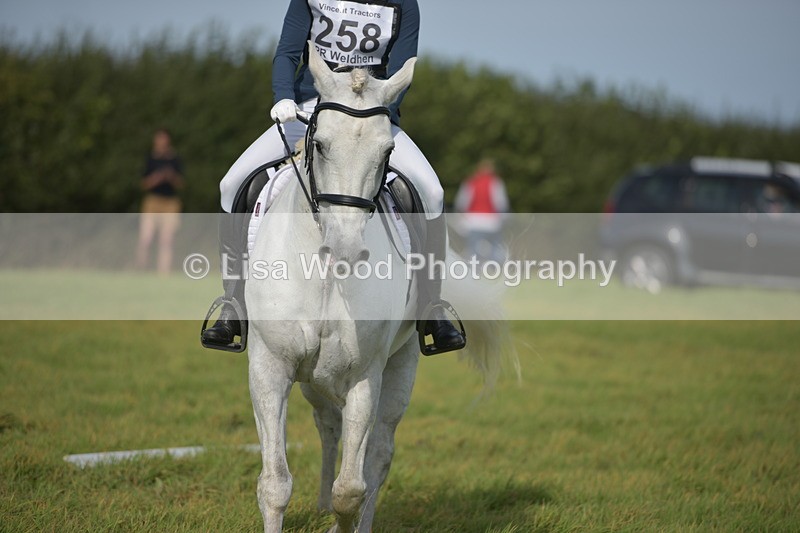 RAY_7674 - Class 2B: Trekenning Open: Dressage