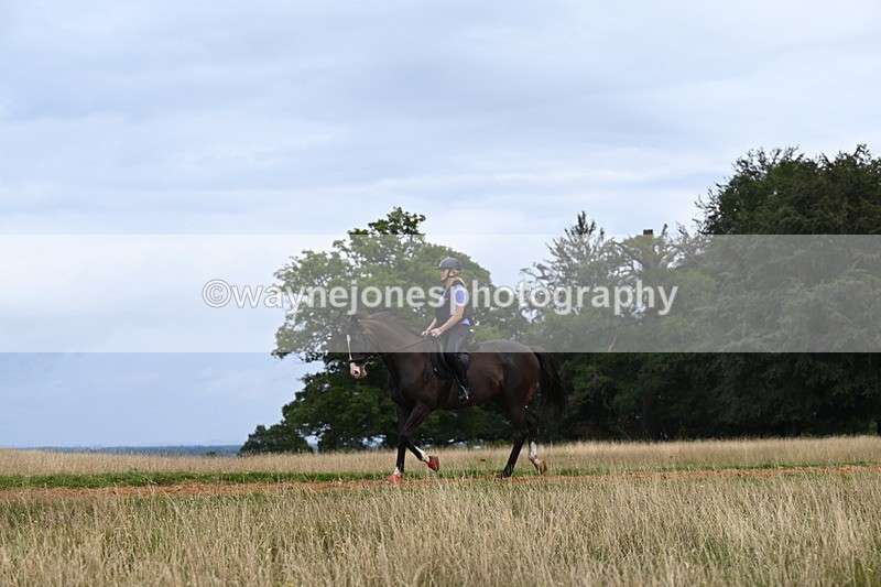 DSC_6208 - Time at Statue 12:17 to 12:44