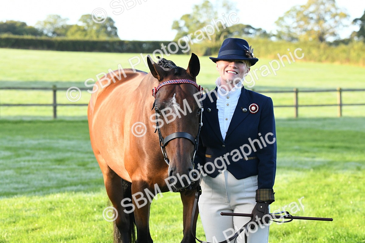 SBM_32653 - S15 - Condition & Turnout In Hand