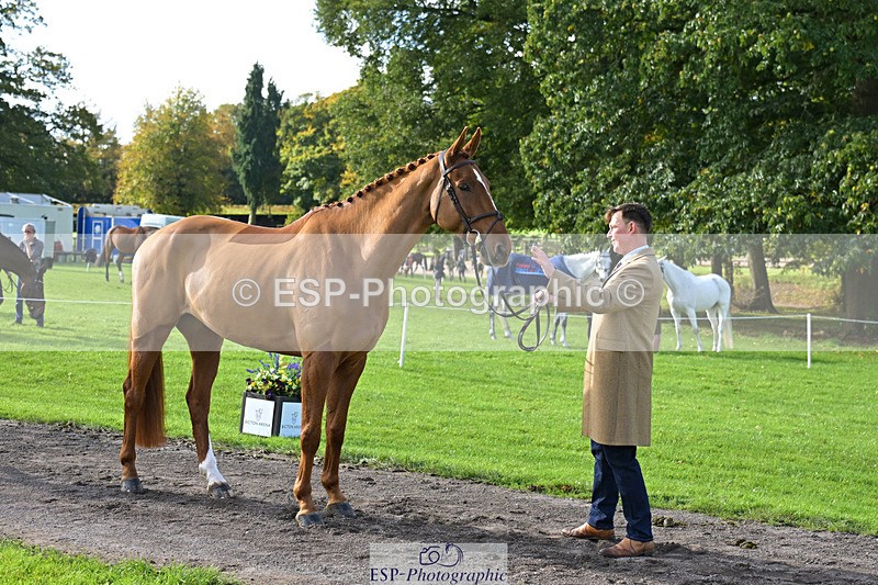 241023-130930-00103 - 054-Matthew.Heath-DASSETT.VENTURE