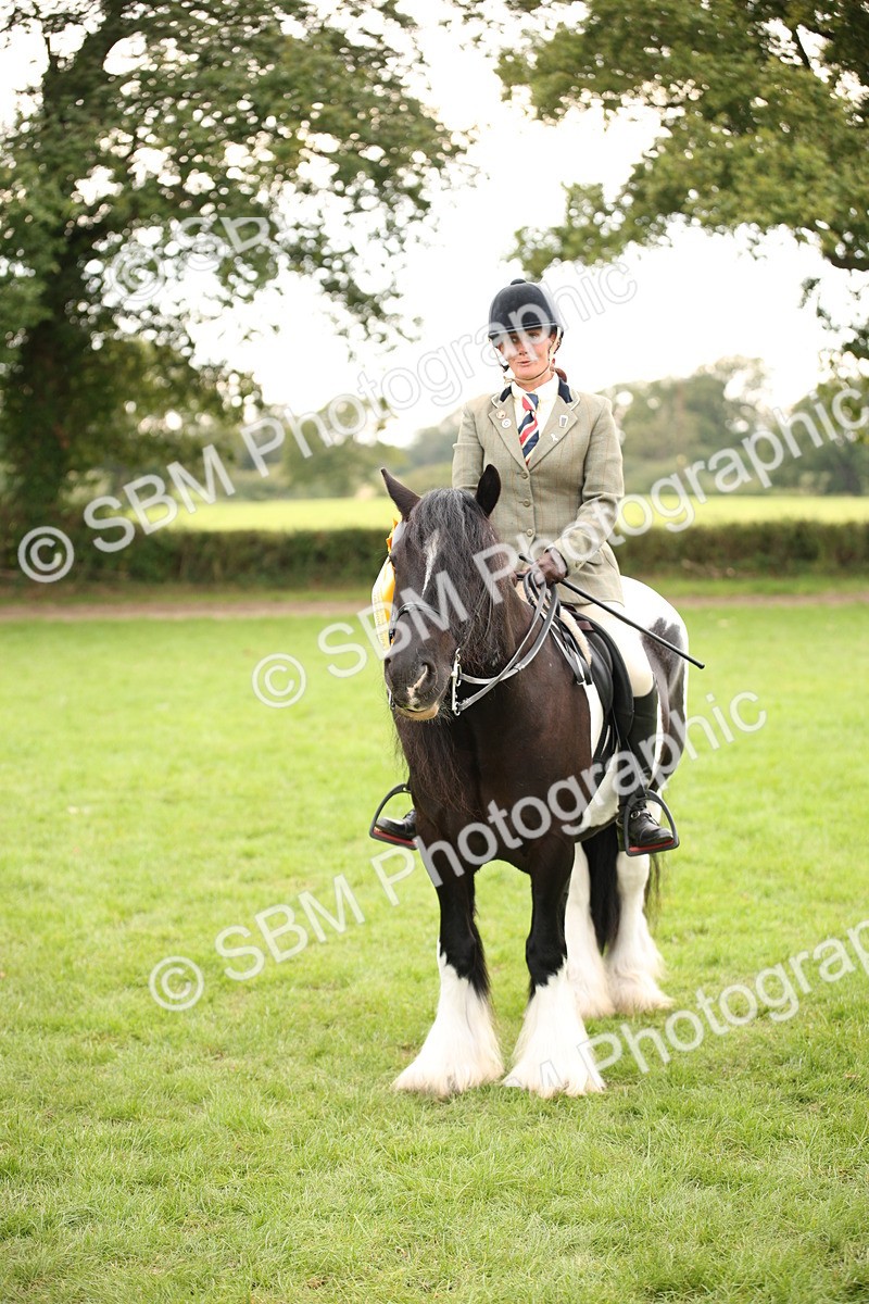 SBM_73586 - S68 - Traditional Cob Ridden