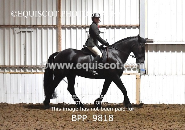 BPP_9818 - RING 2