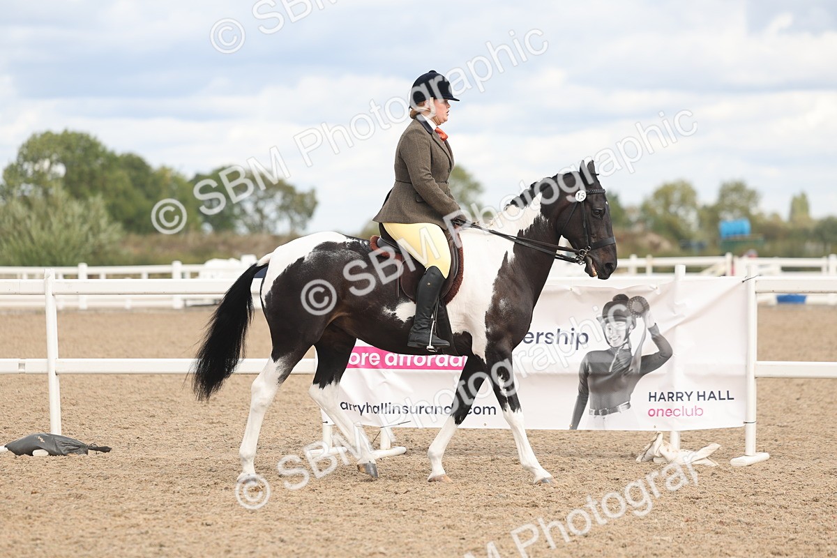 SBM_14734 - Class 308 - Ridden Coloured Horse