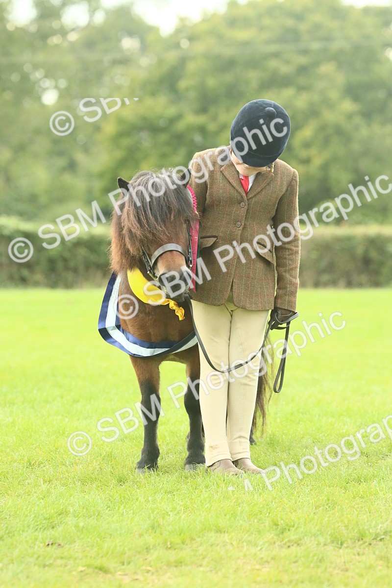 SBM_75266 - Super Supreme Championship