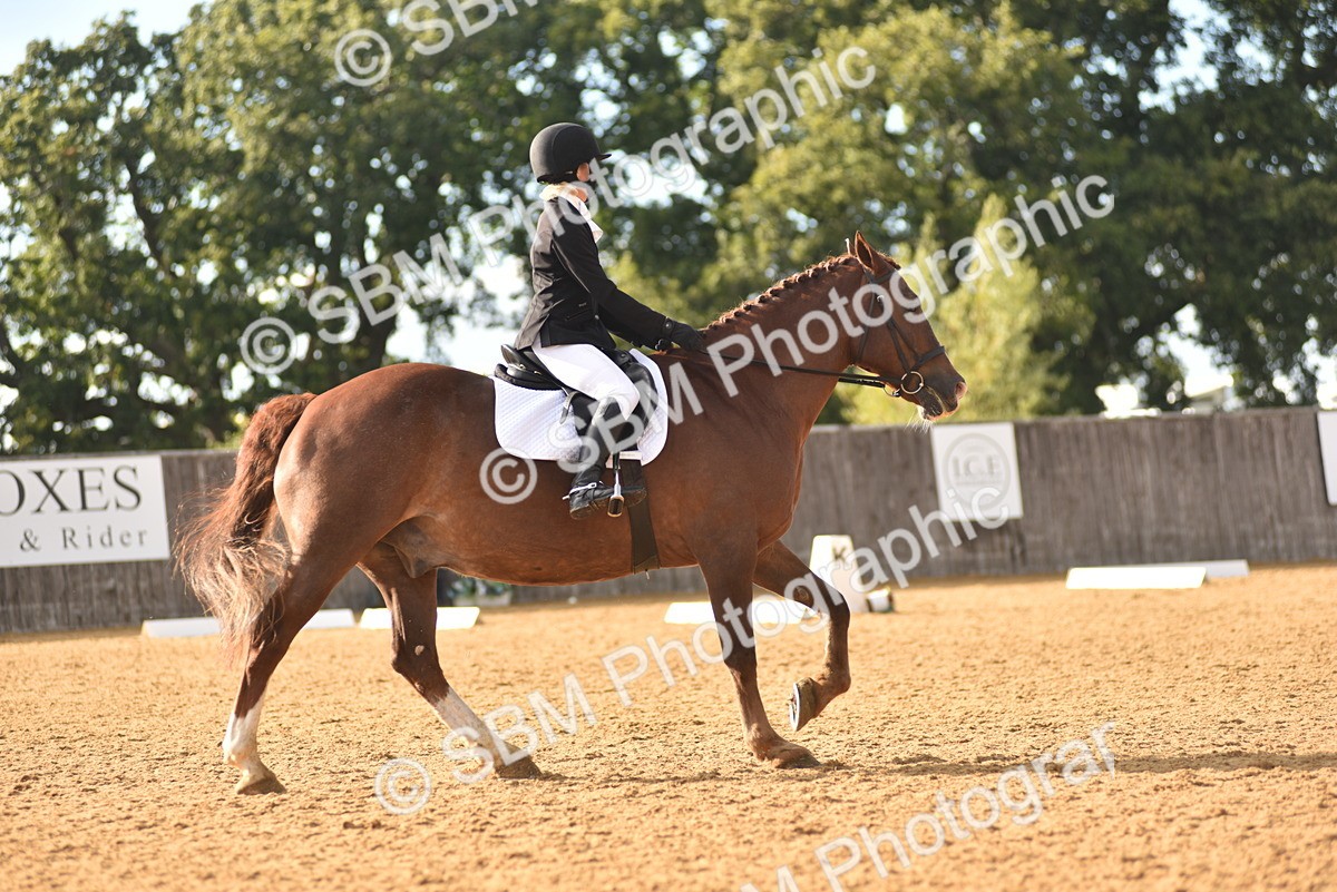 SBM_11396 - D15 - Small Tour Championship Novice 1