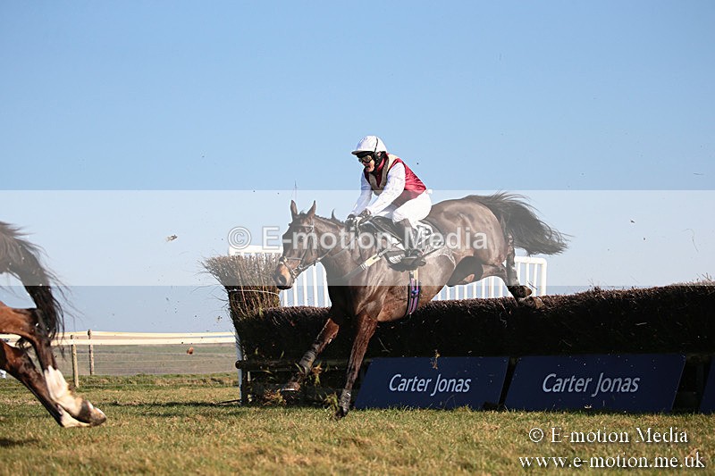PtP 230219 449 - Vine & Craven Point-To-Point - Barbury 23/02/19