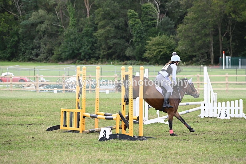 WJ6_1728 - 60cm Time 12:11 to 12:28