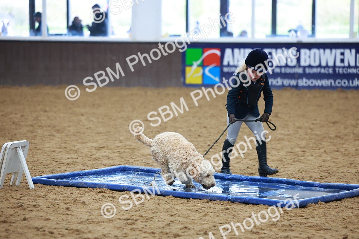 SBM_001598 - Class 3 - Horse & Hound (60cm)