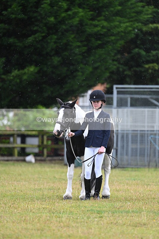 WJ7_5796 - Class 4 Prettiest Mare in Hand