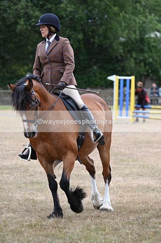 WJ7_0540 - Class 6 Ridden Mountain and Moorland