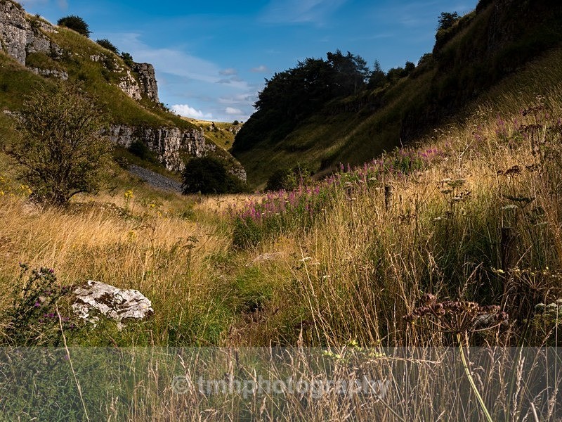 Limestone valley - Landscape