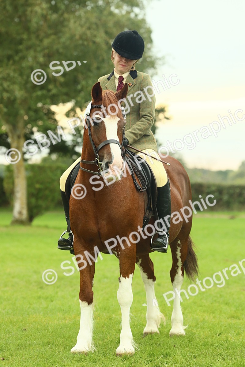 SBM_72227 - S60 - Mountain & Moorland Ridden Large Breeds