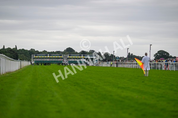 210824-Race 5-Extensio-5321 - Race 5 4.10pm Sky Bet Stayers Handicap
