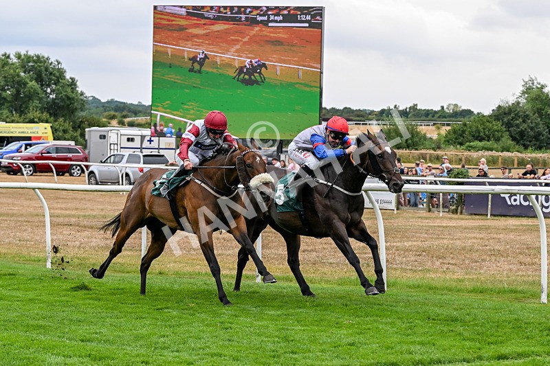 170826-Race 3-Quercus-9368 - Race 3 15.15pm Chapman Milestones Celebration, Thank You NHS Handicap