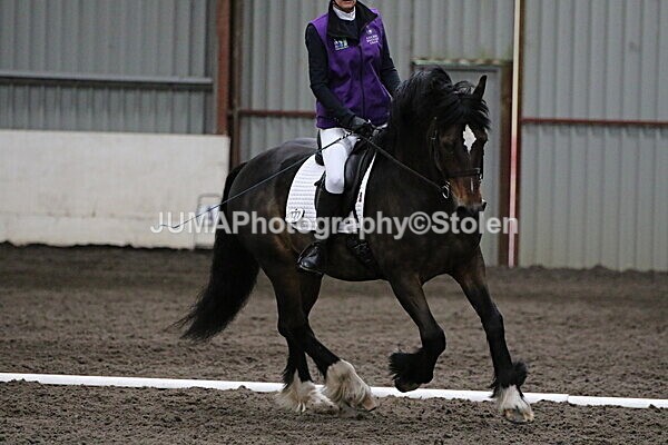SIAL3763 - CAbin Dressage 5th july 2025
